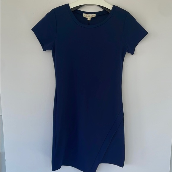 Pink Rose Blue Casual Sheath Dress Medium - Picture 3 of 12